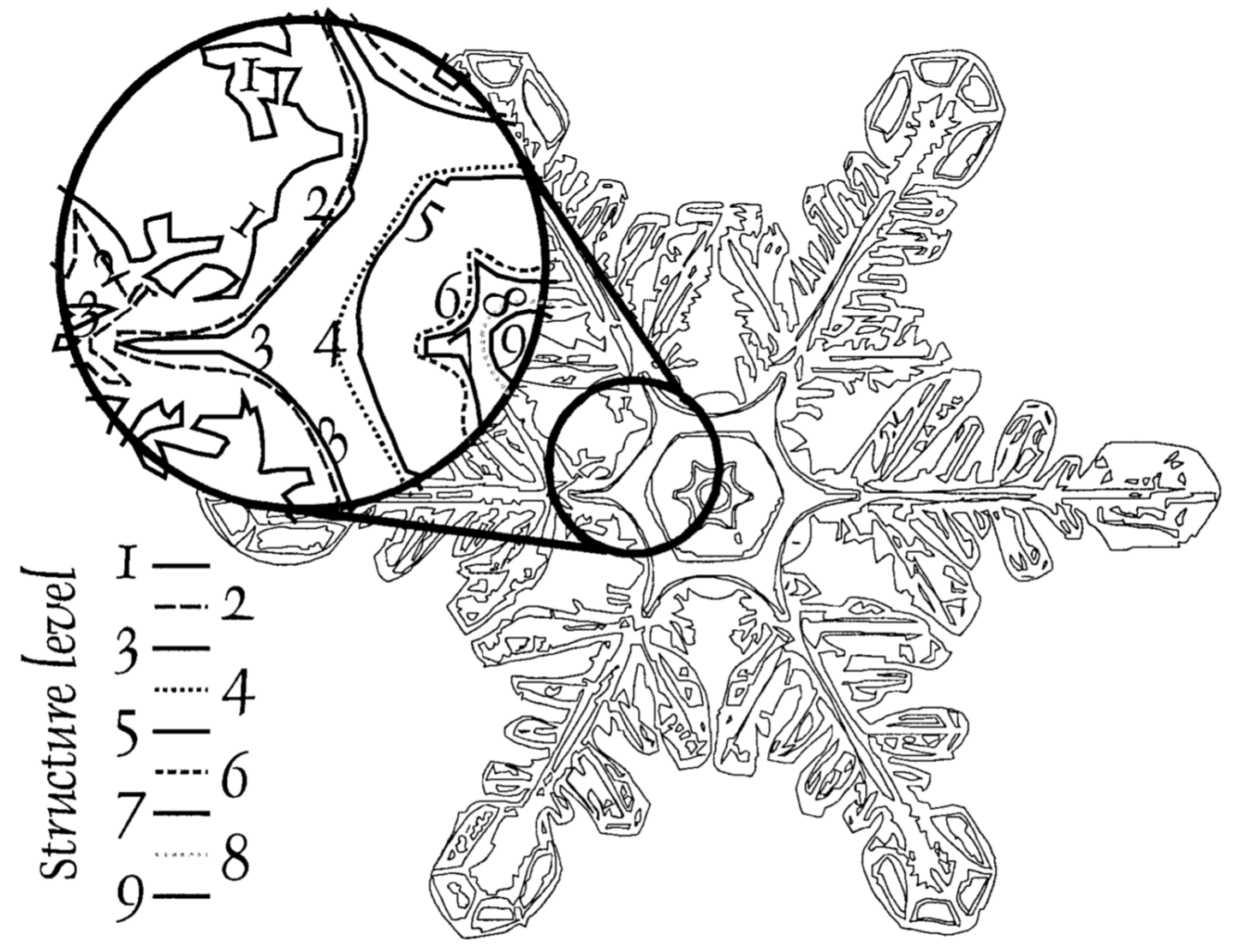 Copo de nieve con ampliación de sus niveles de estructura